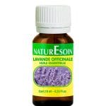 NaturEsoin Huile Essentielle de Lavande - 10 ml