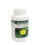 GPH DIFFUSION TRIBULUS EXTRAIT 100 GELULES