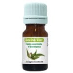RACINE VITA HUILE ESSENTIELLE D'EUCALYPTUS 10 ML