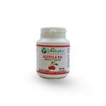 VERTU PLUS ACEROLA BIO VITAMINE C NATURELLE 500 MG 60 GÉLULES