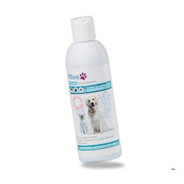 Pilea Shampoing Antiparasitaires 200ml