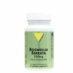 VITALL PLUS BOSWELLIA SERRATA 60 GELULES