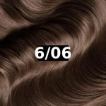 Blond Foncé Naturel Brun 6/06