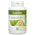 GPH Diffusion Garcinia 100 Gelules