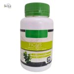 Hydra Premium Ficus 36 Gelules