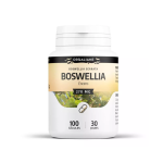 GPH Boswellia Encens Extrait 270mg 100gelules