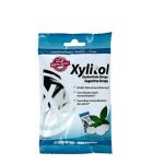 XYLITOL DROPS MINT SUGAR FREE 26 Pièces